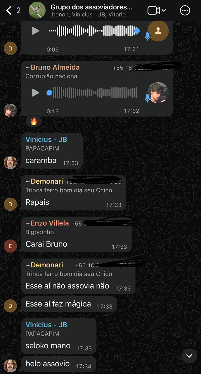 Conversa real do Grupo dos Assoviadores de Jaboticabal no WhatsApp — membros trocando assovios e reagindo
